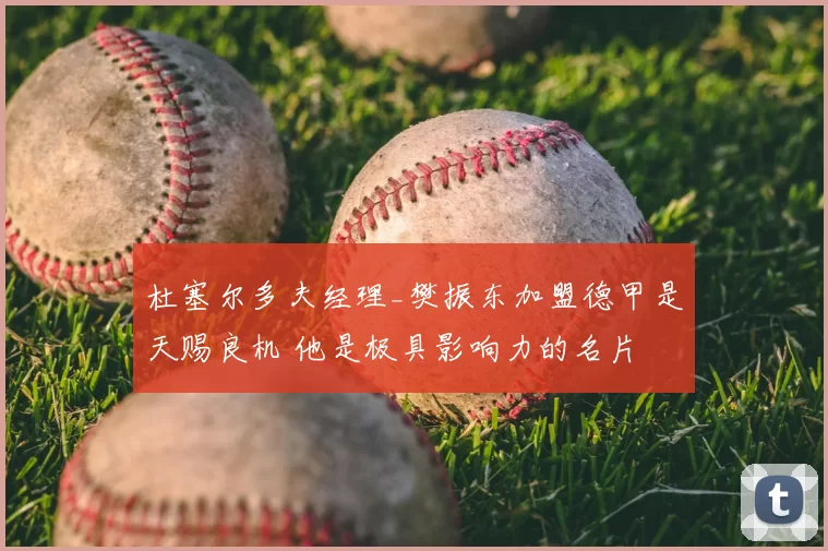 杜塞尔多夫经理_樊振东加盟德甲是天赐良机 他是极具影响力的名片