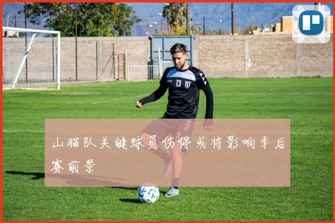 山猫队关键球员伤停或将影响季后赛前景