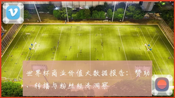 世界杯商业价值大数据报告：赞助、转播与粉丝经济洞察