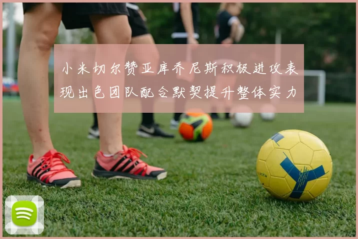 小米切尔赞亚库乔尼斯积极进攻表现出色团队配合默契提升整体实力