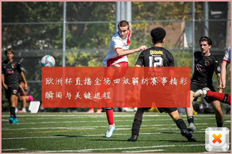 欧洲杯直播全场回放解析赛事精彩瞬间与关键进程