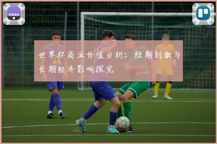世界杯商业价值分析：短期刺激与长期经济影响探究