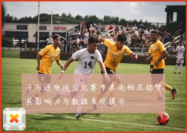 卡布逐渐适应比赛节奏尚帕尼称赞其影响力与数据表现提升