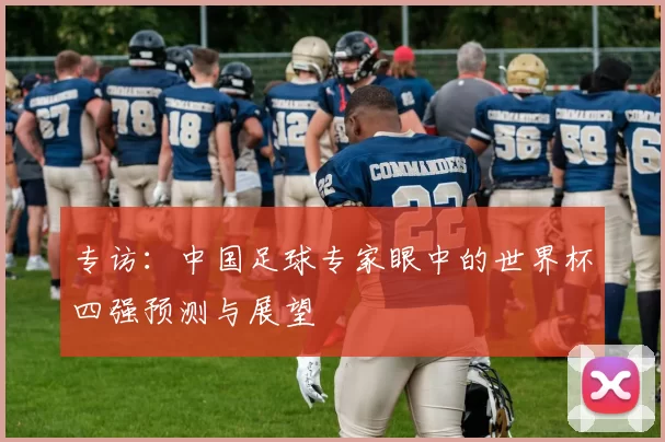 专访：中国足球专家眼中的世界杯四强预测与展望