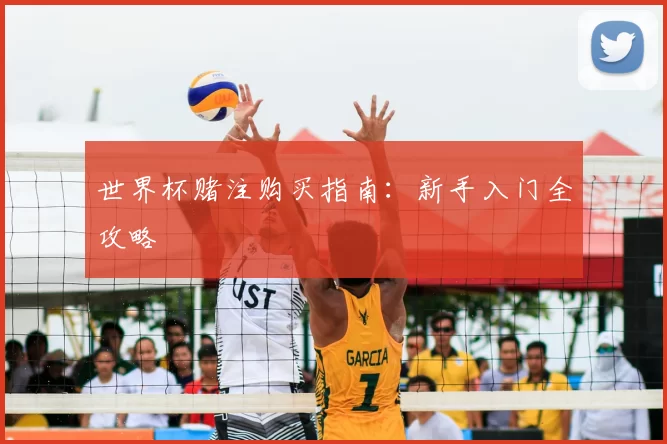 世界杯赌注购买指南：新手入门全攻略
