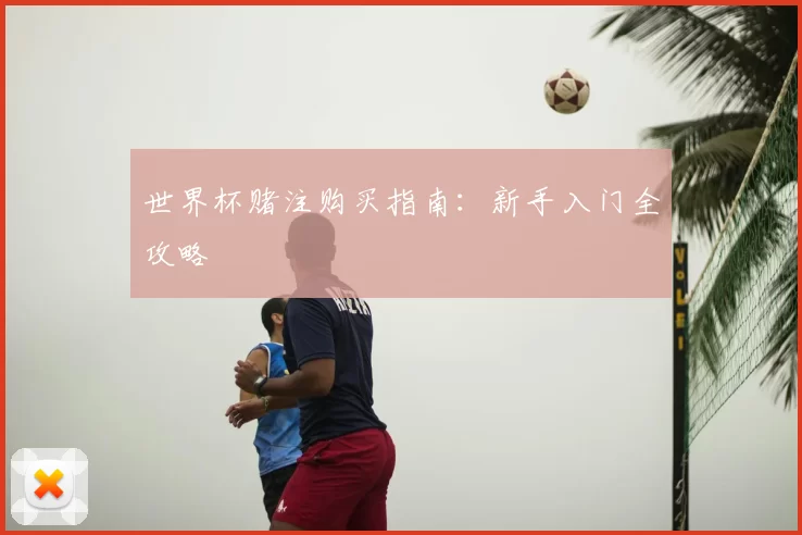 世界杯赌注购买指南：新手入门全攻略