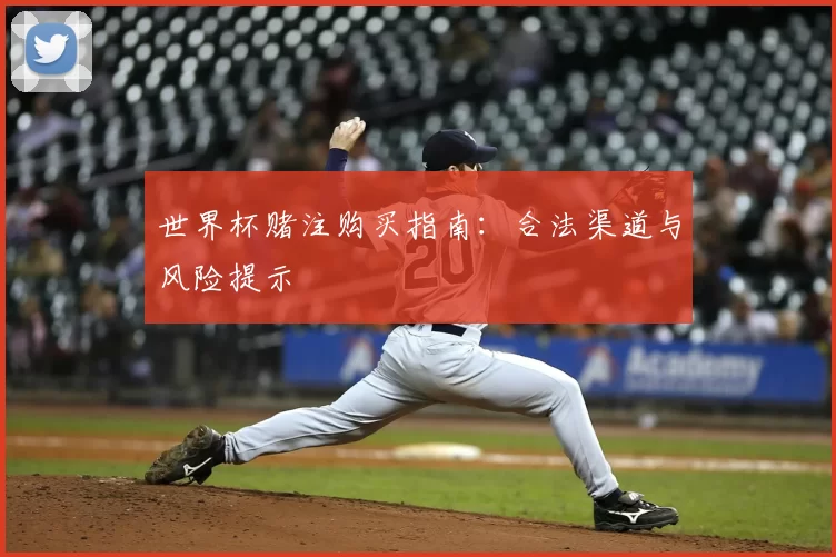 世界杯赌注购买指南：合法渠道与风险提示