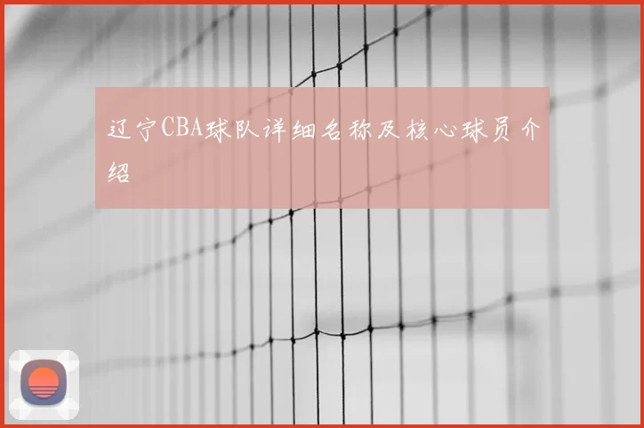 辽宁CBA球队详细名称及核心球员介绍