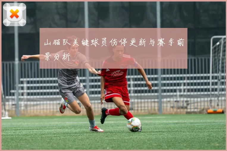 山猫队关键球员伤停更新与赛季前景分析