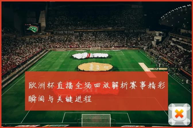 欧洲杯直播全场回放解析赛事精彩瞬间与关键进程