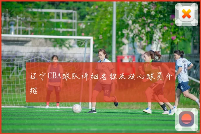 辽宁CBA球队详细名称及核心球员介绍